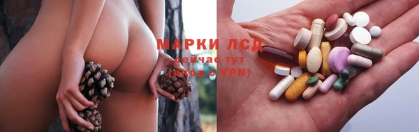 винт Армянск