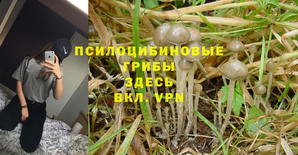 ECSTASY Ростов