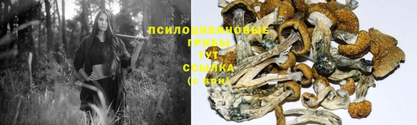 ECSTASY Ростов