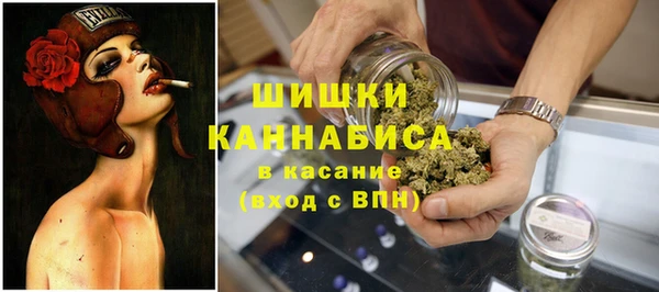 винт Армянск