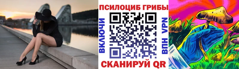 ОМГ ОМГ ТОР Покачи Галлюциногенные грибы мицелий
